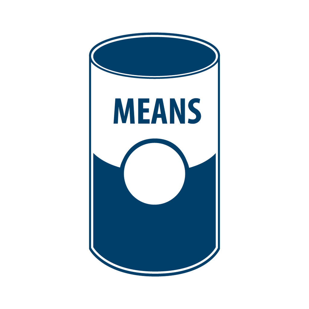 WHAT IS ANOTHER NAME FOR MEANS intelligence overview